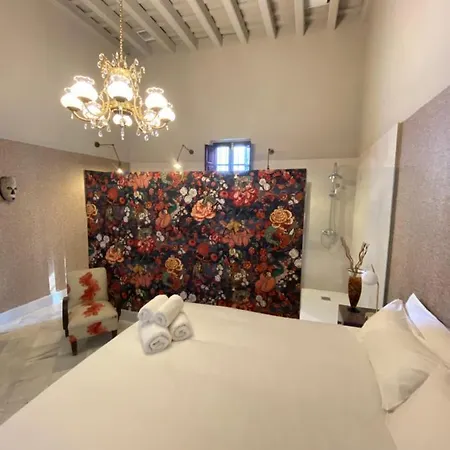 Bed & Breakfast Casa Palacio Anima Jerez de la Frontera
