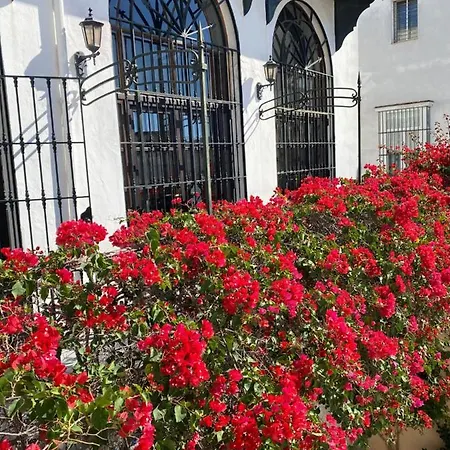 Bed & Breakfast Casa Palacio Anima 4*