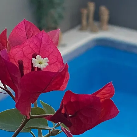 Casa Palacio Anima Bed & Breakfast Jerez de la Frontera