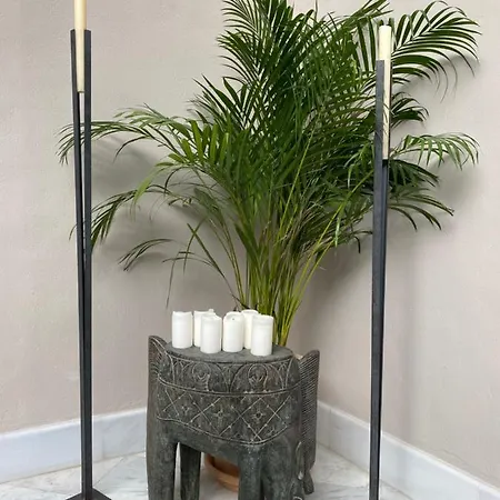 Casa Palacio Anima Bed & Breakfast 4*