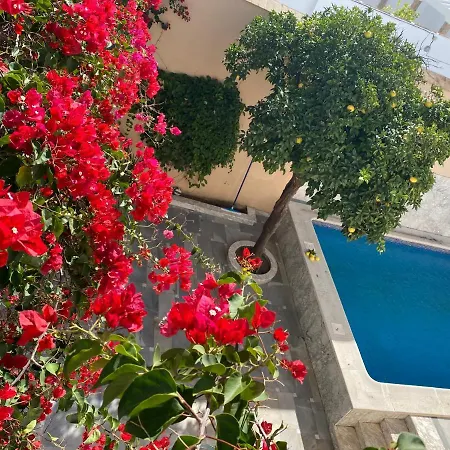 Bed & Breakfast Casa Palacio Anima Jerez de la Frontera