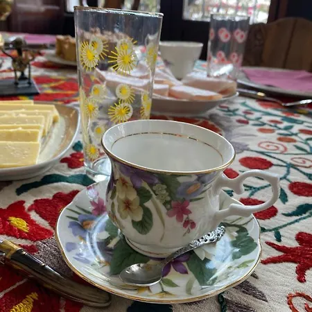 Casa Palacio Anima Отель типа 