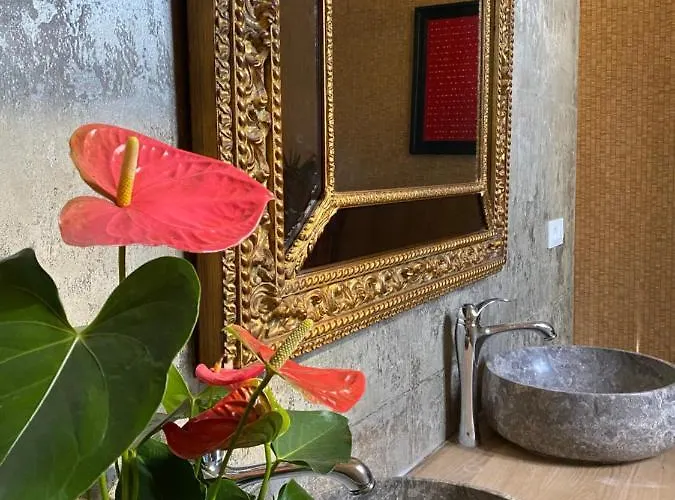 Casa Palacio Anima Bed & Breakfast