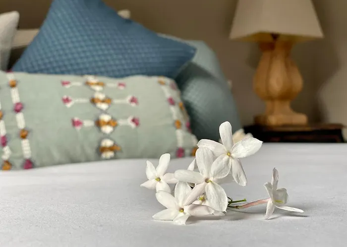 Bed & Breakfast Casa Palacio Anima Jerez de la Frontera