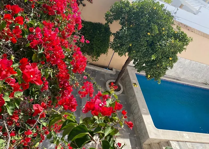 Bed & Breakfast Casa Palacio Anima Jerez de la Frontera