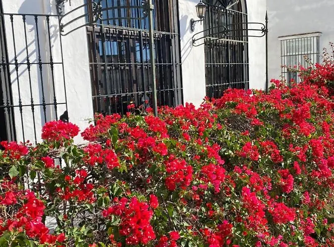 Bed & Breakfast Casa Palacio Anima 4*