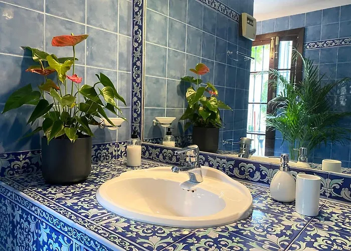 Casa Palacio Anima 4*