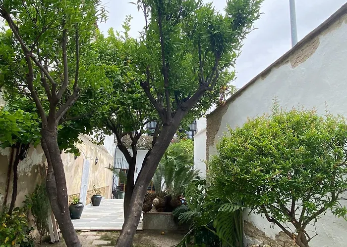 Casa Palacio Anima Bed & Breakfast