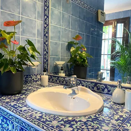 Casa Palacio Anima 4*