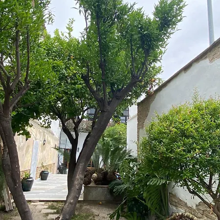 Casa Palacio Anima לינה וארוחת בוקר