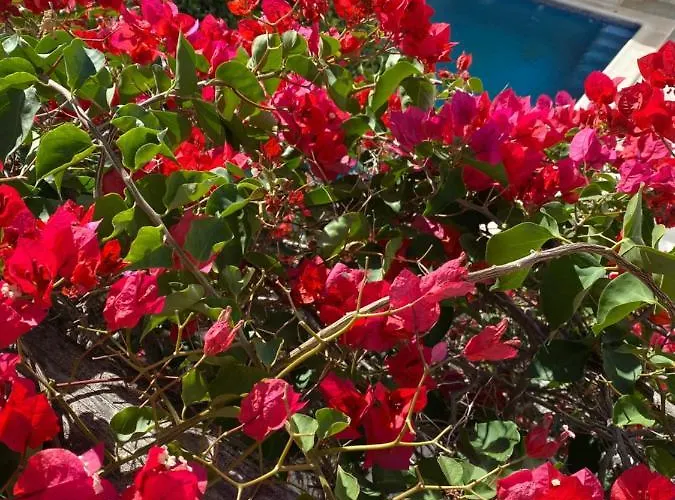 Casa Palacio Anima 4* חרז