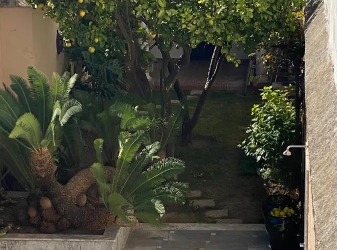 Casa Palacio Anima חרז