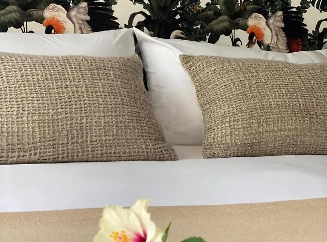 Casa Palacio Anima חרז