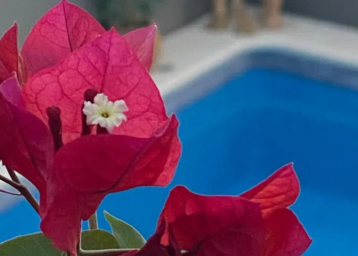 Casa Palacio Anima לינה וארוחת בוקר חרז